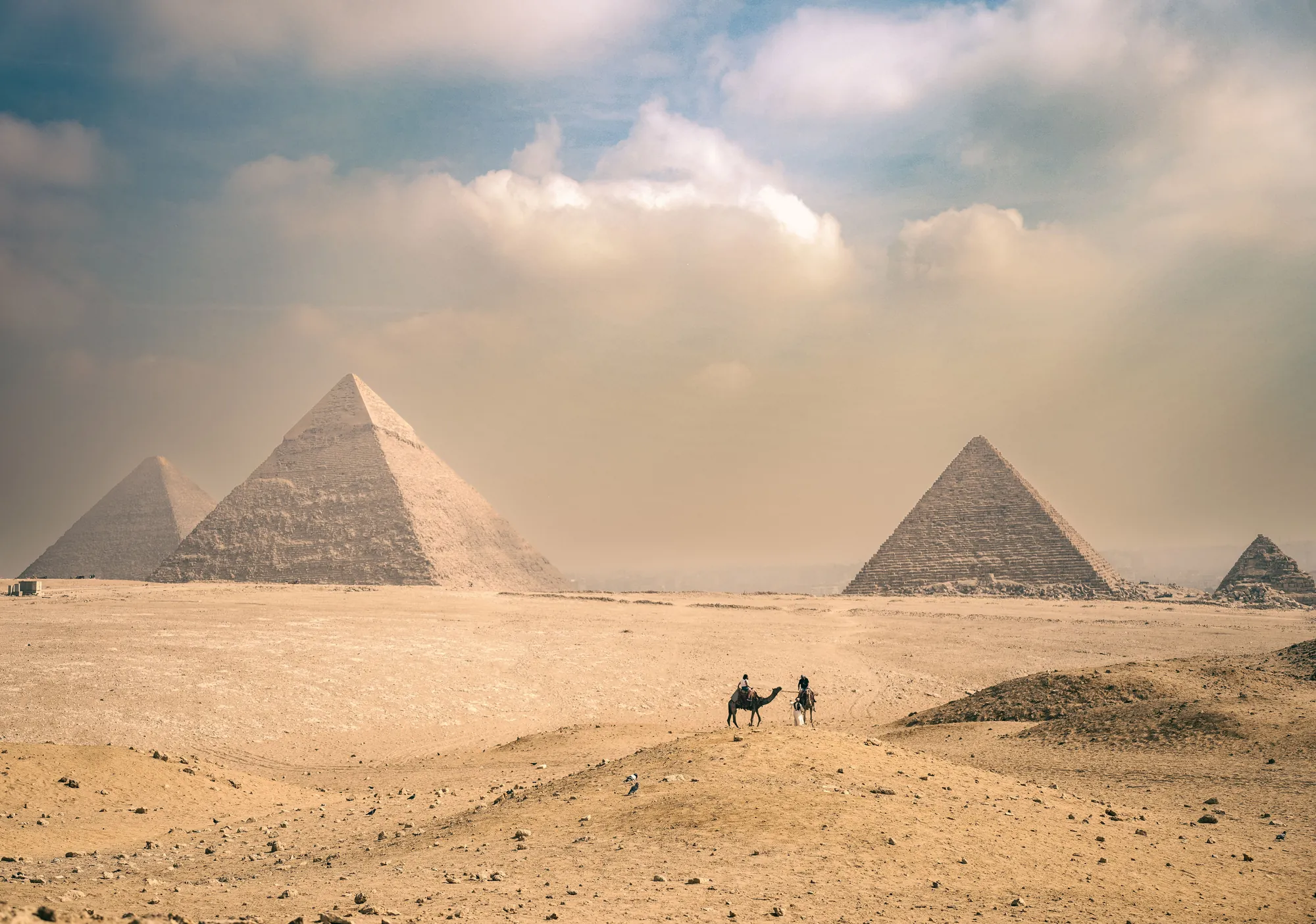As pirâmides de Gizé no deserto, com camelos em primeiro plano